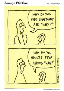 chickenaskwhy