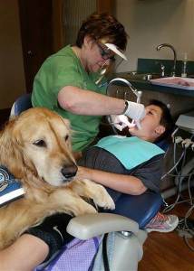 dentist-comfort-dog-today-160405-05_312930de9a82e5ae285e98da6278bb7d.today-inline-large